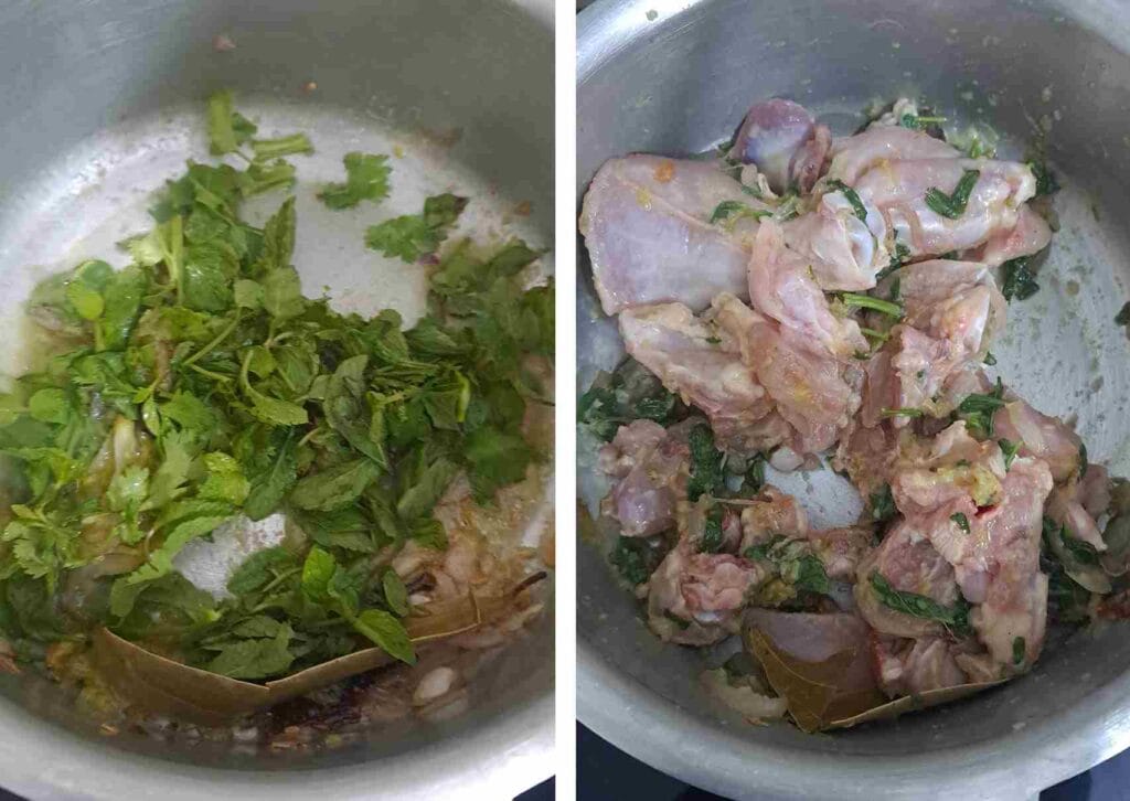 Chicken added with mint and coriander for pressure cooker chicken white biryani recipe