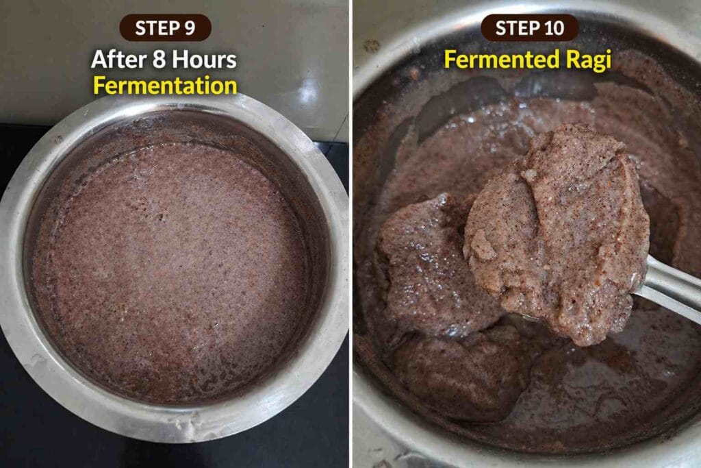 fermented ragi mixture after 8 hours showing thick texture and slight rise in batter