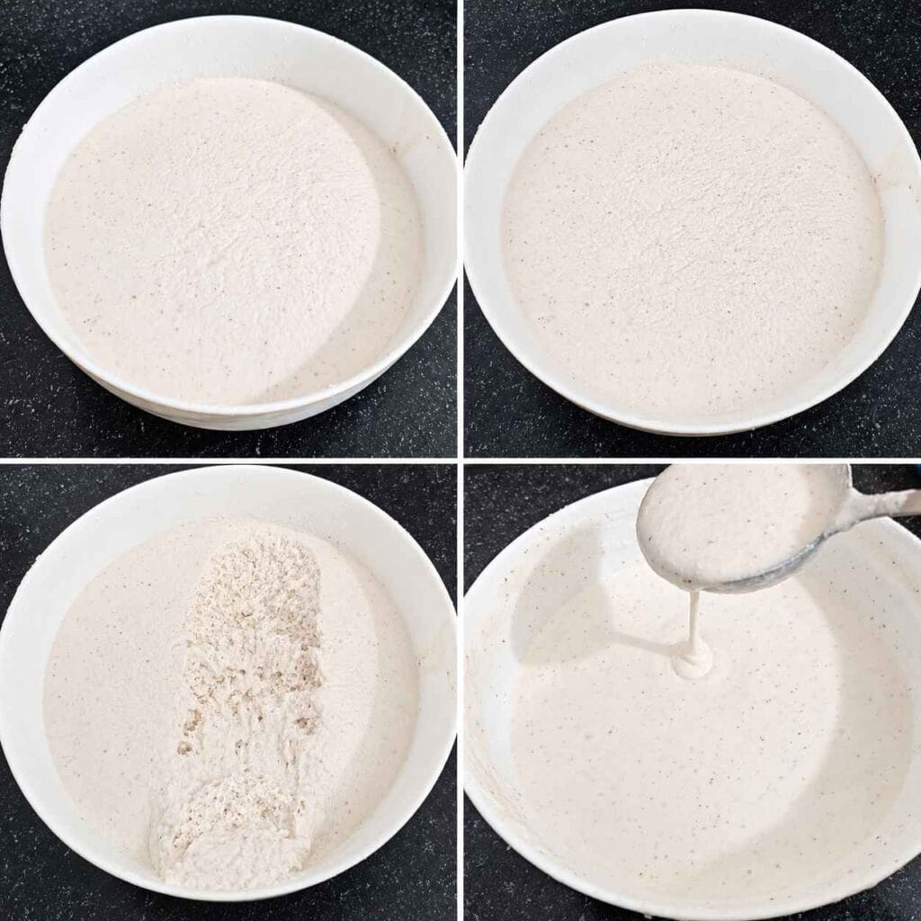 Fermented soft coconut dosa batter with airy and spongy texture before cooking.